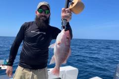Red Snapper