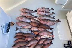 Rich results on Google's SERP when searching for 'Boca Grande Fishing Charters'