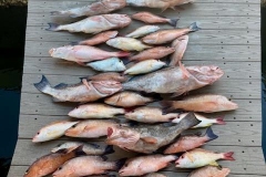 3_Ft-Myers-Fishing-Charters