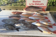 BOCA GRANDE OFFSHORE FISHING CHARTERS