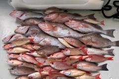 4_Little-Gasparilla-Island