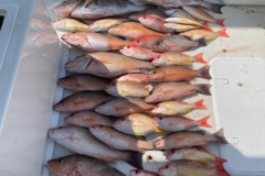5_Englewood-Offshore-Fishing-Charters 5_Englewood-Offshore-Fishing-Charters