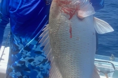 6_Englewood-Offshore-Fishing-Charters 6_Englewood-Offshore-Fishing-Charters
