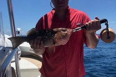 BOCA GRANDE OFFSHORE CHARTERS