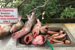 PLACIDA FISHING CHARTERS