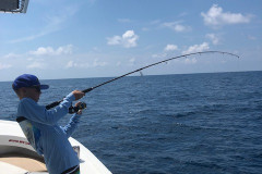 Boca Grande Fishing Charters
