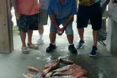 BOCA GRANDE FISHING CHARTERS