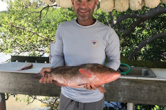 Bocas Grande Fishing Charters