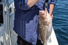 Boca Grande Offshore Fishing Charters