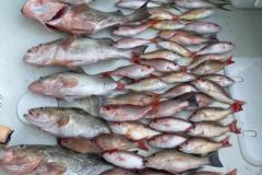 9_Placida-Fishing-Charters