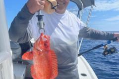 Anchors-Away-Charters-Placida-Florida