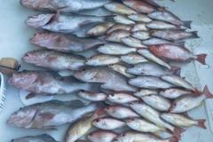 Best-Fishing-Charter-In-Placida-Florida