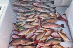 Boca-Grande-Charter-Boats