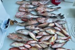 Boca-Grande-FIshing-Charters-21