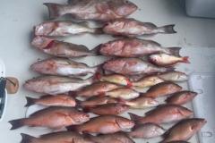 Boca-Grande-Fishing-Charters-26