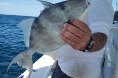 Boca-Grande-Fishing-Charters-46