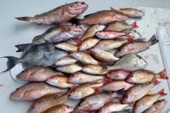 Boca-Grande-Offshore-Fishing-Charters-3