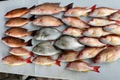 FISHING-CHARTER-IN-BOCA-GRANDE-4 FISHING-CHARTER-IN-BOCA-GRANDE-4
