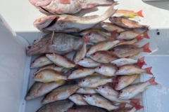 FISHING-IN-BOCA-GRANDE-FLORIDA FISHING-IN-BOCA-GRANDE-FLORIDA