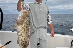 Fishing-Charter-In-Englewood-Florida