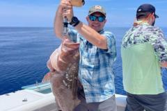 Giant-Red-Grouper-In-Boca-Grande