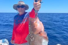 Grouper-Fishing-In-Punta-Gorda-Florida