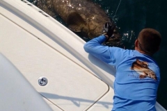 GOLIATH GROUPER CHARTERS BOCA GRANDE