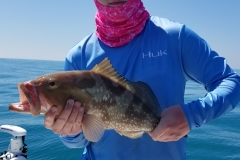 LITTLE GASPARILLA FISHING CHARTERS