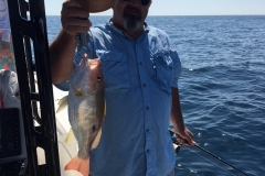 BOCA GRANDE FISHING CHARTERS