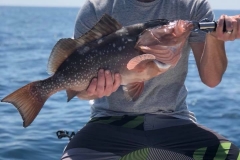 BOCA GRANDE FISHING CHARTERS