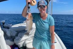 Mangrove-Snapper-On-A-Boca-Grande-Fishing-Charter