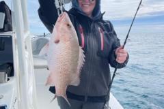 Monstor-Mangrove-In-Boca-Grande-Florida