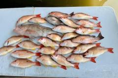 Placida-FIshing-Charters-59