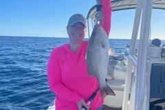 Placida-Fishing-Charters-Mangrove-Snapper