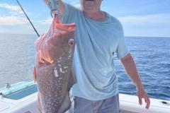 Placida-Fishing-Charters-Red-Grouper