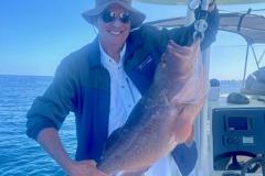Red-Grouper