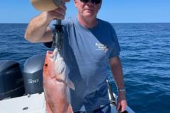 Red-Snapper