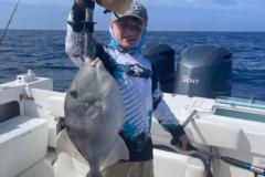 Triggerfish-Offshore-Boca-Grande