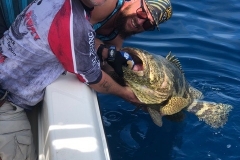 BOCA GRANDE FISHING CHARTERS