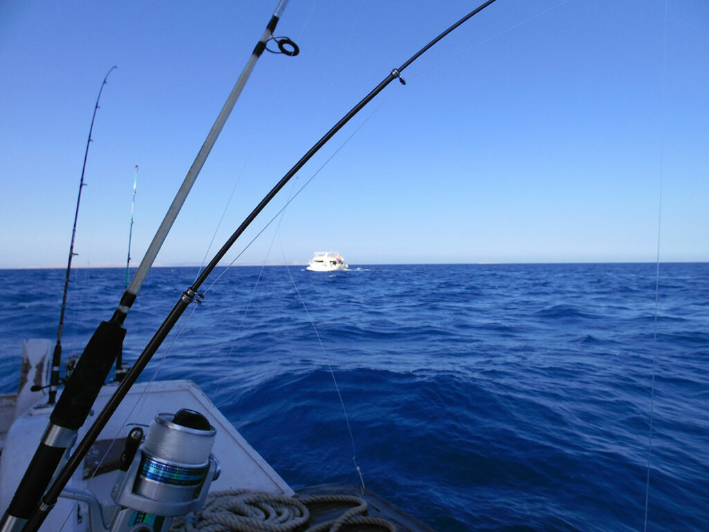 Choose Capt Jeff for Your Boca Grande Fishing Trip