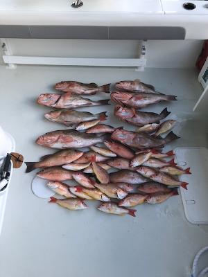 Boca Grande Fishing Charters Boca Grande Fishing Charters Catch