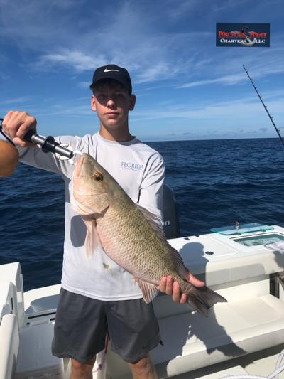 Englewood Fishing Charters Rich results on Google's SERP when searching for 'Englewood Fishing Charters'