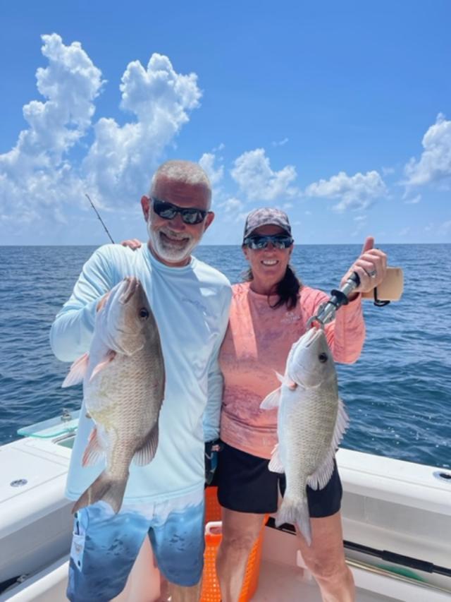 Mangrove Snapper (Grey Snapper) - Blue Line Fishing Charters, LLC